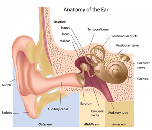 Hearing Loss