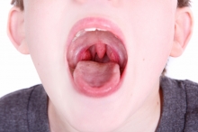 What are the tonsils and adenoids?